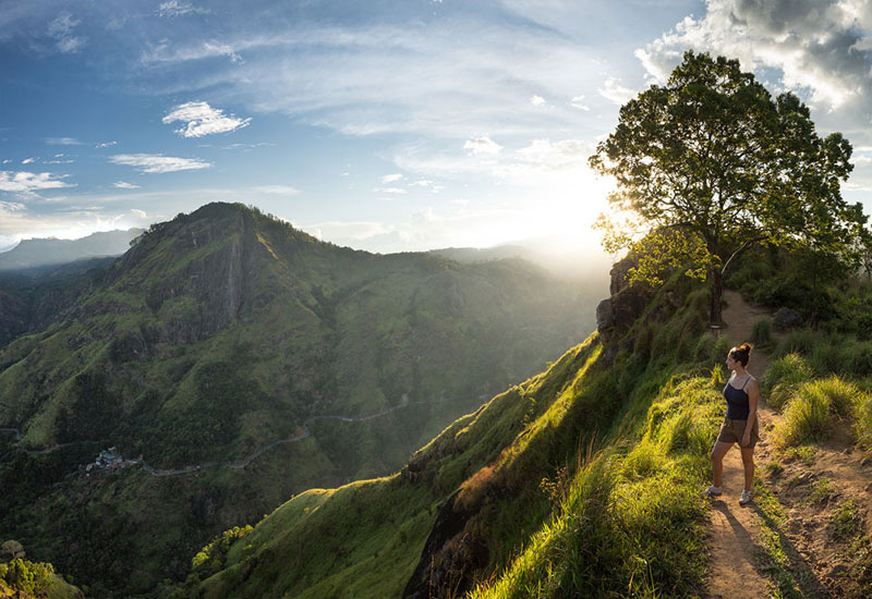 Journey Through Natural Beauty